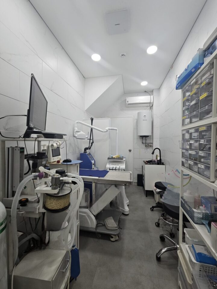 치과치료실