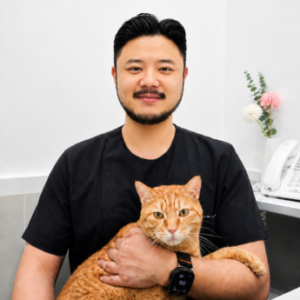 유동혁